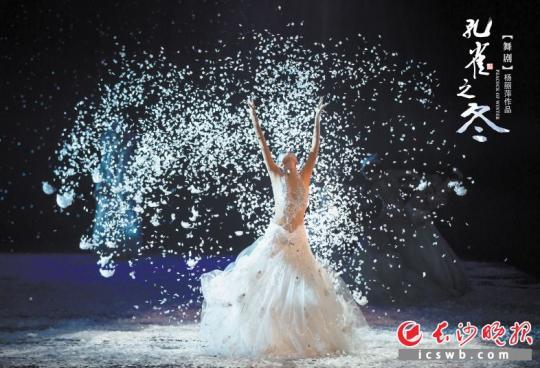 《孔雀之冬》剧照。均为资料图片