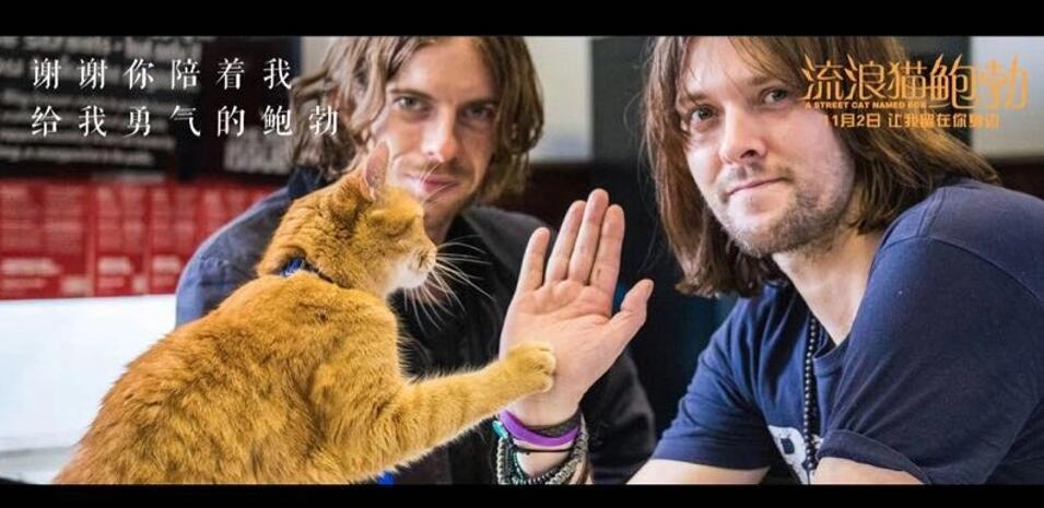 电影《流浪猫鲍勃》剧照.jpg